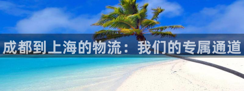 多多28官方版正版：成都到上海的物流