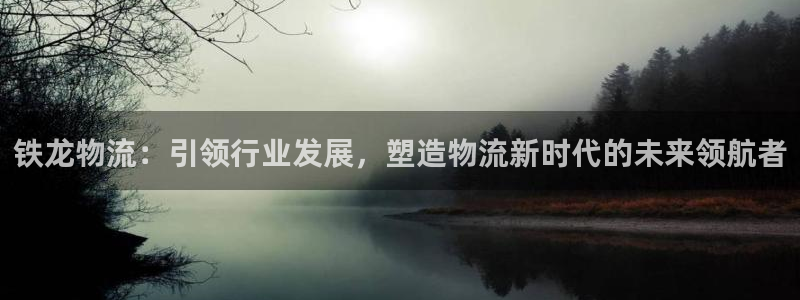 多多28是正规平台吗：铁龙物流：引领