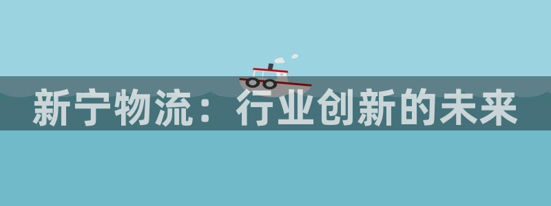多多28推广链接是多少：新宁物流：行