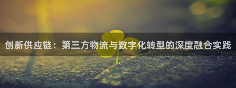 多多28的自行车：创新供应链：第三方