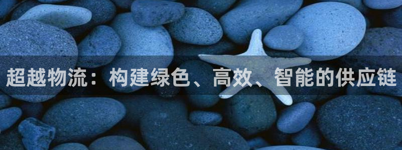 多多28官网入口pc28：超越物流：
