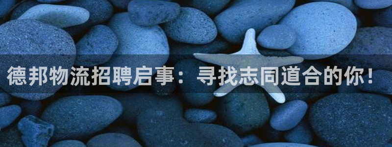 多多28官网下载APP：德邦物流招聘
