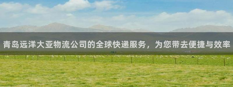多多28加拿大：青岛远洋大亚物流公司