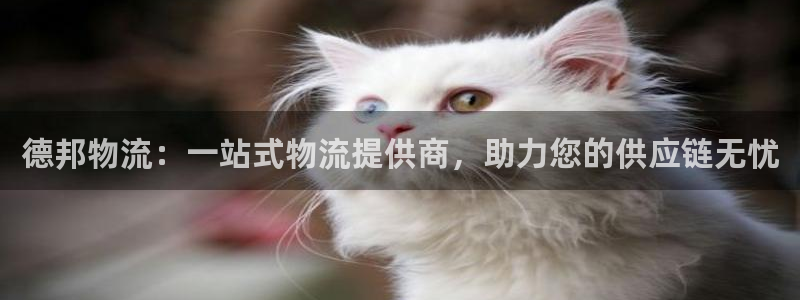 多多28官网下载多少：德邦物流：一站