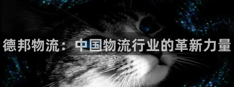 多多28官网入口pc29官网版：德邦