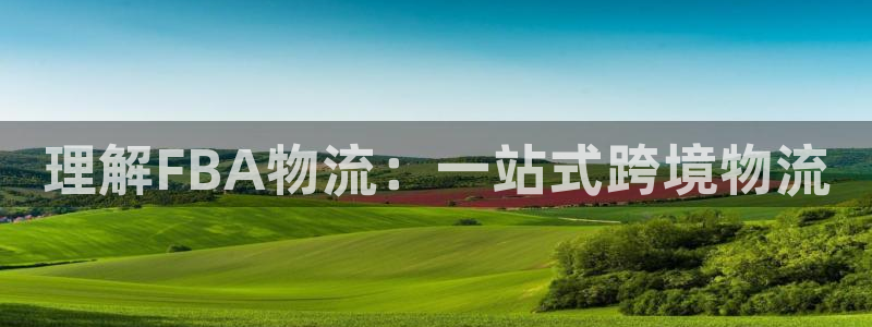 多多28自行车图片大全：理解FBA物