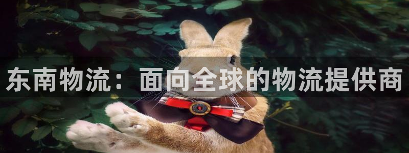 多多28头像：东南物流：面向全球的物
