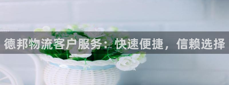 多多28正规吗：德邦物流客户服务：快速便捷，信赖选择