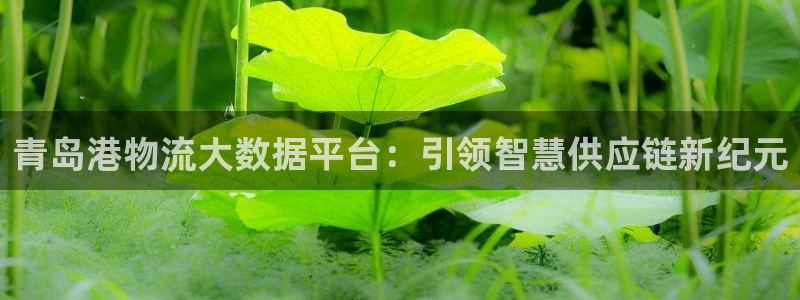 多多28官网入口pcios：青岛港物流大数据平台：引领智慧供