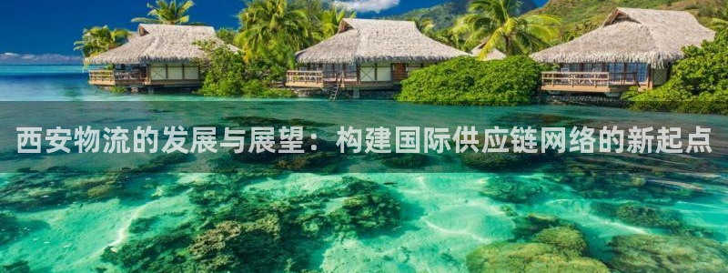 多多28官网开奖结果预测查询：西安物