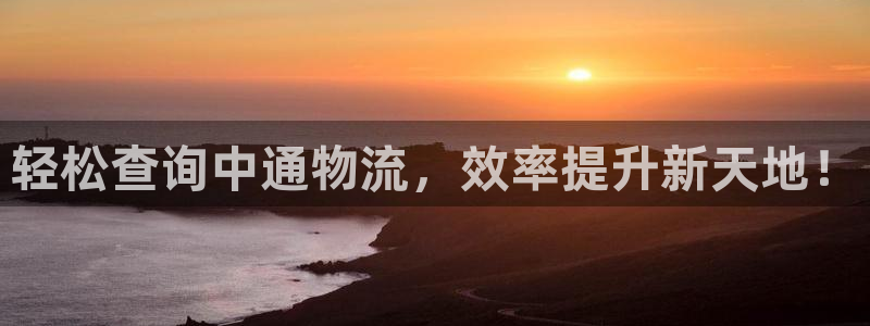 多多28登陆网：轻松查询中通物流，效率提升新天地！
