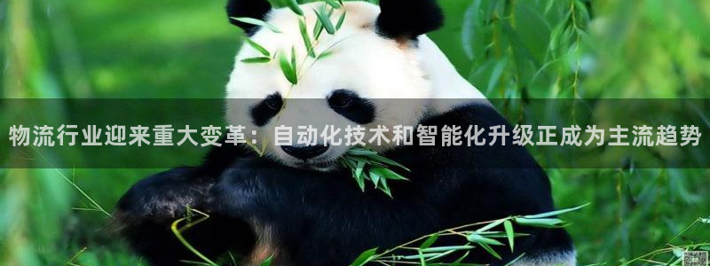 加拿大多多28数字规则：物流行业迎来重大变革：自动化技术和智