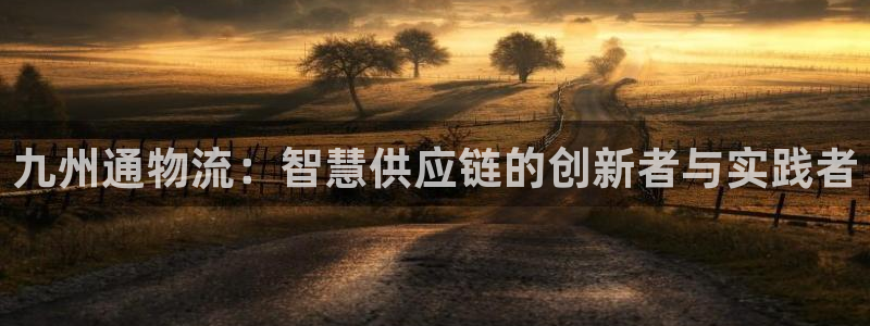 多多28网站平台是多少：九州通物流：