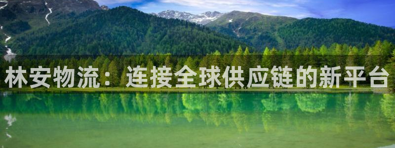 多多28官网入口o：林安物流：连接全