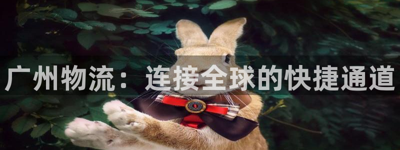 多多28人工客服电话是什么：广州物流