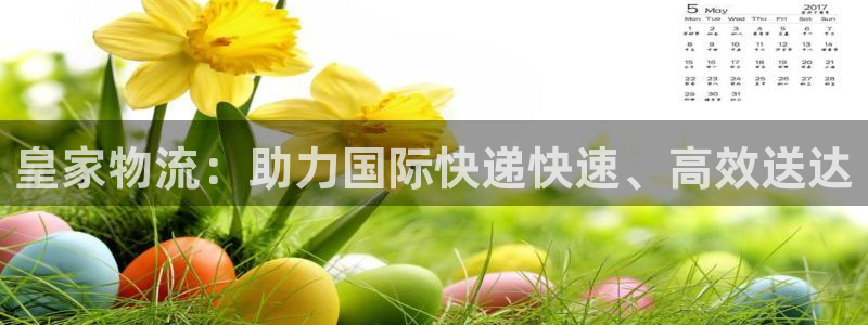 多多28app怎么注册账号：皇家物流：助力国际快递快速、高效