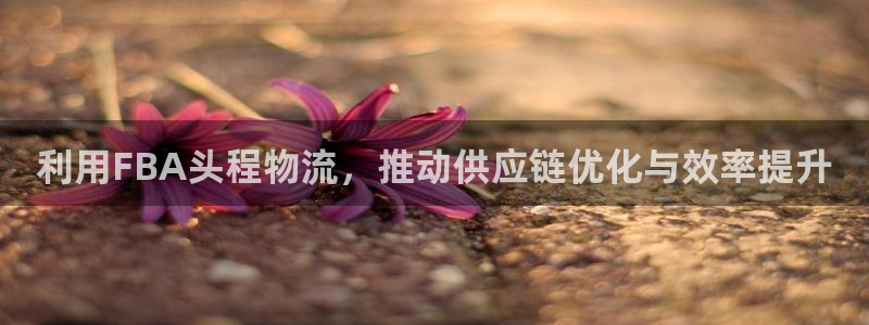 多多28加拿大2.8预测在线预测：利用FBA头程物流，推动供