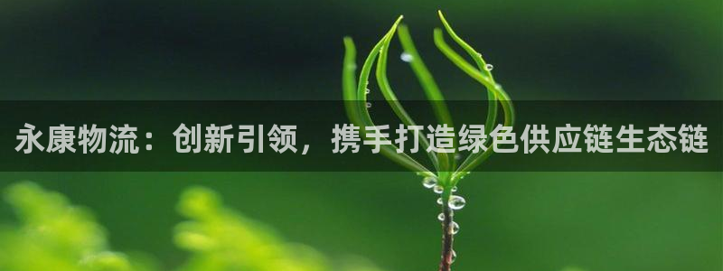 多多28注册链接入口：永康物流：创新引领，携手打造绿色供应链