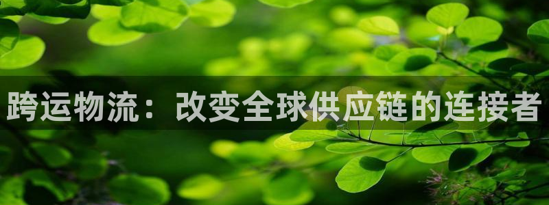 多多28登录流程：跨运物流：改变全球