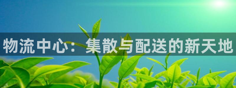多多28网站平台：物流中心：集散与配