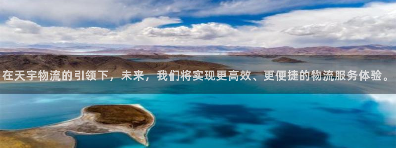 多多28怎么下载教程:在天宇物流的引