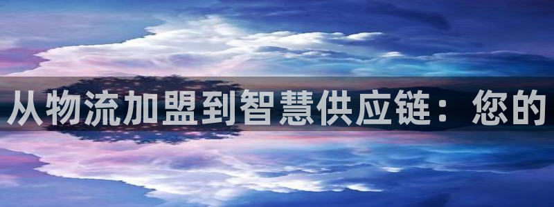 多多28官网平台：从物流加盟到智慧供