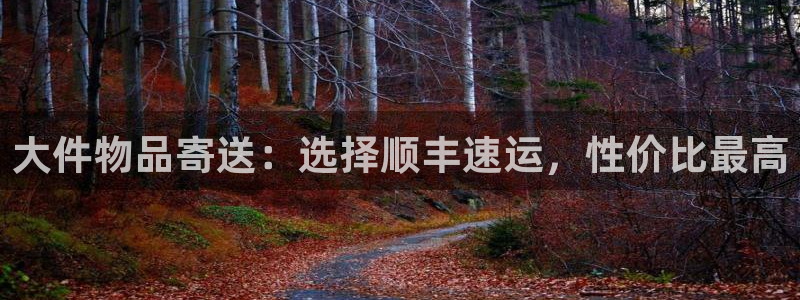 多多28反水怎么算