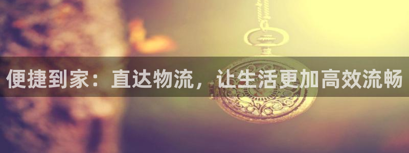 多多28充值不到账：便捷到家：直达物流，让生活更加高效流畅