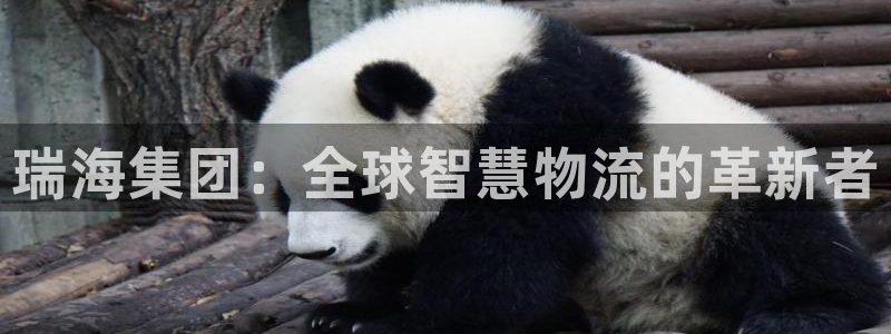 多多28网赌有什么风险