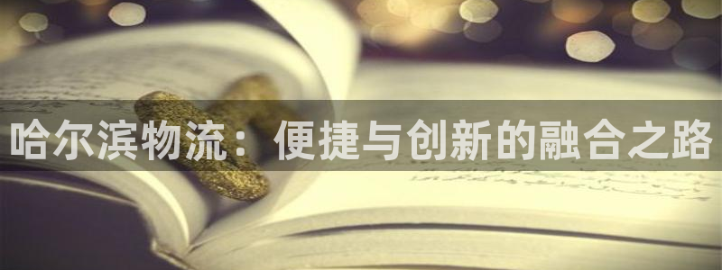 多多28网站怎么注册：哈尔滨物流：便