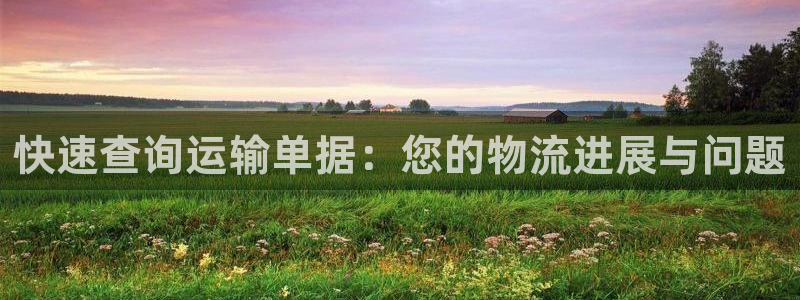 多多28加拿大pc预测：快速查询运输单据：您的物流进展与问题