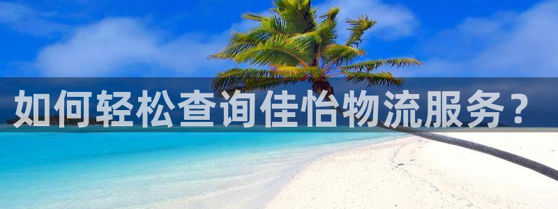 多多28注册过了警察知道吗：如何轻松查询佳怡物流服务？