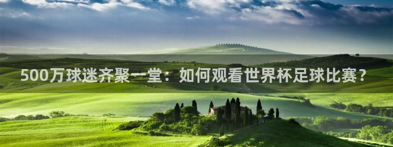 熊猫直播下载官网：500万球迷齐聚一堂：如何观看世界杯足球比赛？