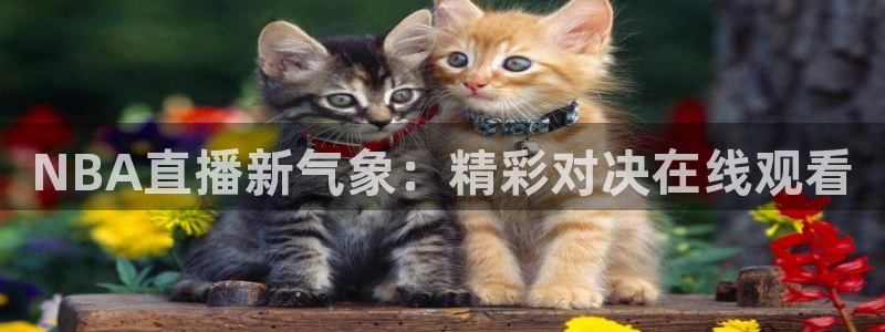 熊猫体育在线：NBA直播新气象：精彩对决在线观看