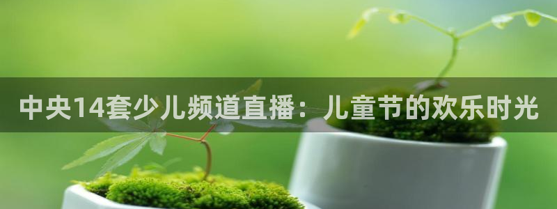 熊猫体育在线直播app：中央14套少儿频道直播：儿童节的欢乐时光