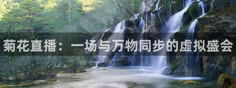 熊猫app直播：菊花直播：一场与万物同步的虚拟盛会