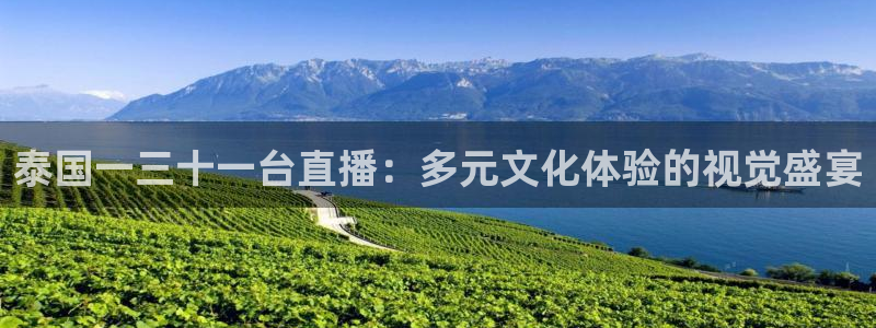 动感熊猫体育公园：泰国一三十一台直播：多元文化体验的视觉盛宴