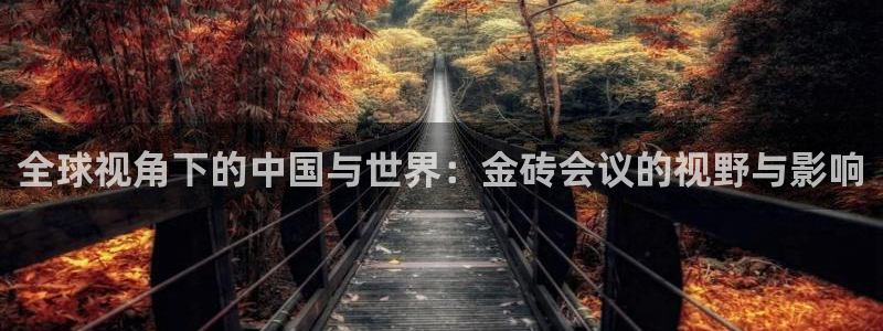 熊猫熊猫歌曲：全球视角下的中国与世界：金砖会议的视野与影响