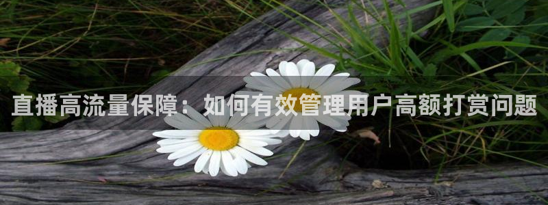 熊猫猫直播：直播高流量保障：如何有效管理用户高额打赏问题
