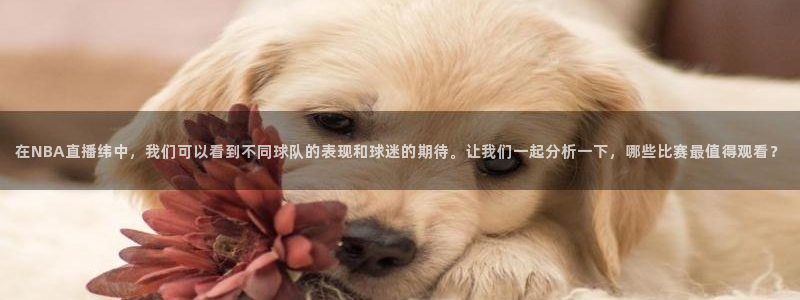 中山熊猫体育：在NBA直播纬中，我们可以看到不同球队的表现和球迷的期待。让我们一起分析一下，哪些比赛最值得观看？
