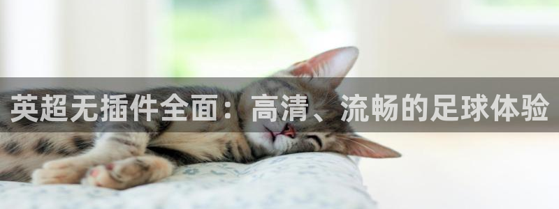 熊猫熊猫歌曲：英超无插件全面：高清、流畅的足球体验