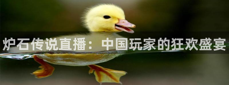 熊猫官网在线直播：炉石传说直播：中国玩家的狂欢盛宴