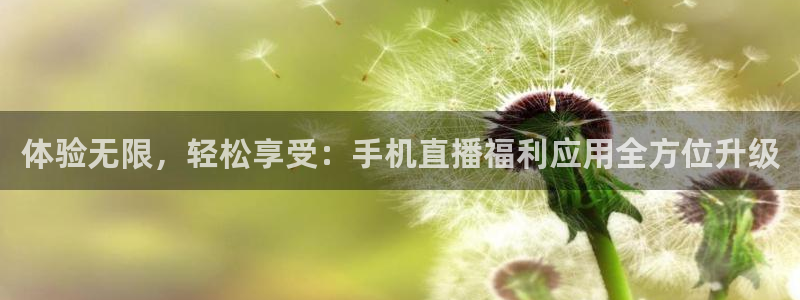 熊猫nba直播视频：体验无限，轻松享受：手机直播福利应用全方位升级