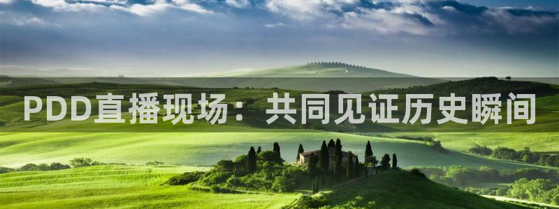 熊猫体育直播足球：PDD直播现场：共同见证历史瞬间