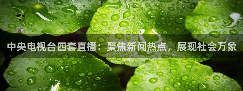 熊猫直播间：中央电视台四套直播：聚焦新闻热点，展现社会万象