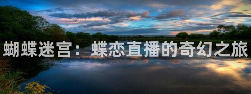 熊猫足球直播免费观看：蝴蝶迷宫：蝶恋直播的奇幻之旅